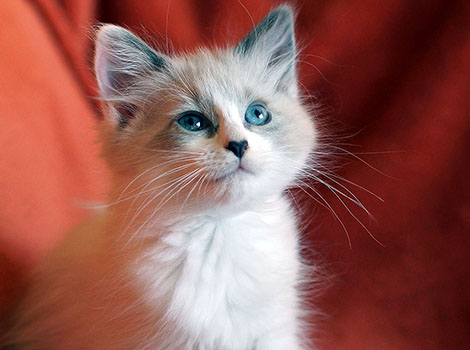 Meggie am 6. November 2021